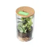 On the lid (4×2cm)  +