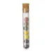 Seed Bonbons Set - Dinaclex