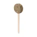 Seed Lollipop - Ebeldy