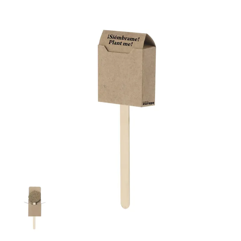 Seed Lollipop - Ebeldy
