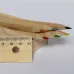 Pencil Set - Dragon
