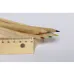 Pencil Set - Dragon