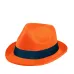 Hat - Braz