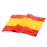 Flag - Caser