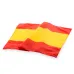 Flag - Caser