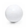 WHITE  +