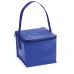 Cool Bag - Tivex
