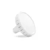 WHITE  +