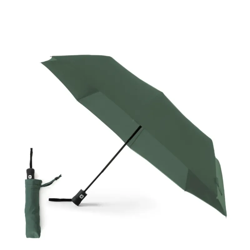 Umbrella - Hebol