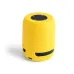 Speaker - Braiss