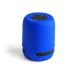 Speaker - Braiss