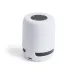 Speaker - Braiss