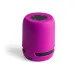 Speaker - Braiss