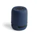 Speaker - Braiss