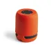Speaker - Braiss