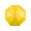 YELLOW  +