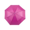 FUCHSIA  +