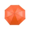 ORANGE  +