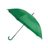 GREEN  +