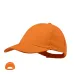 Cap - Rittel