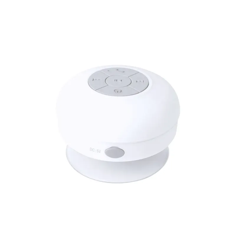 Speaker - Rariax