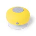 Speaker - Rariax