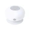 WHITE  +