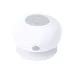Speaker - Rariax
