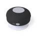Speaker - Rariax