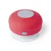 Speaker - Rariax