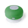 GREEN  +