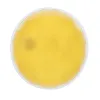 YELLOW  +