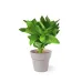 Flowerpot Set - Nertel