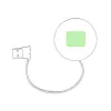 In the white part (2.5×2cm)  +