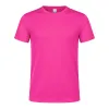 FUCHSIA  +