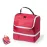 Cool Bag - Artirian