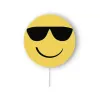 SUNGLASS  +