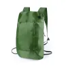 GREEN  +