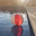 Beach Ball - Zeusty