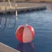 Beach Ball - Zeusty
