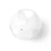 Beach Ball - Zeusty
