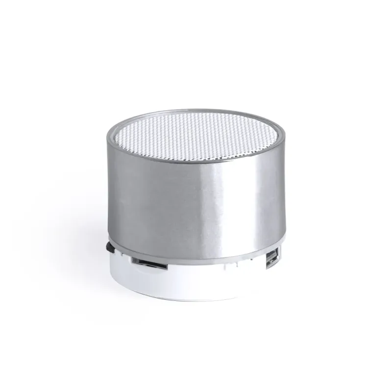 Speaker - Viancos