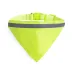Bandana Pet Collar - Bipols