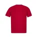 Adult Colour T-Shirt 