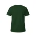 Adult Colour T-Shirt 