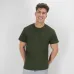 Adult Colour T-Shirt 