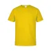 Adult Colour T-Shirt 
