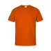 Adult Colour T-Shirt 