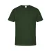Adult Colour T-Shirt 