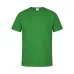 Adult Colour T-Shirt 